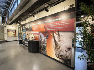 MKE Zoo Rhino Exhibit 4