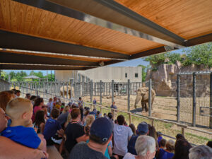 Milwaukee County Zoo Adventure Africa