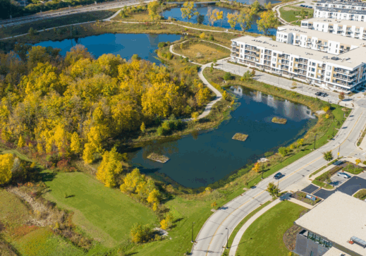 Drexel Town Square Wetland Park